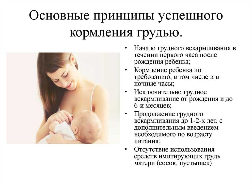 Как правильно кормить грудью новорожденного ребенка с чего начать подготовка позы для кормления двойняшек как долго что говорит комаровский