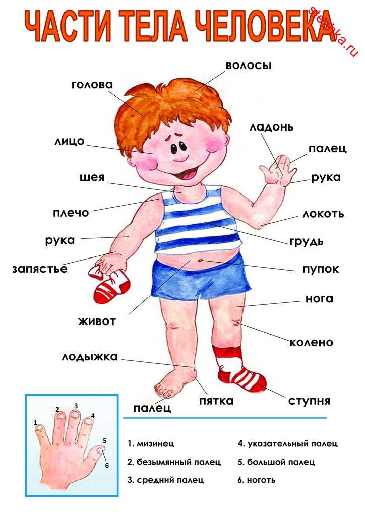 Какой конструктор подарить ребенку 5-7 лет – виды и особенности детских конструкторов