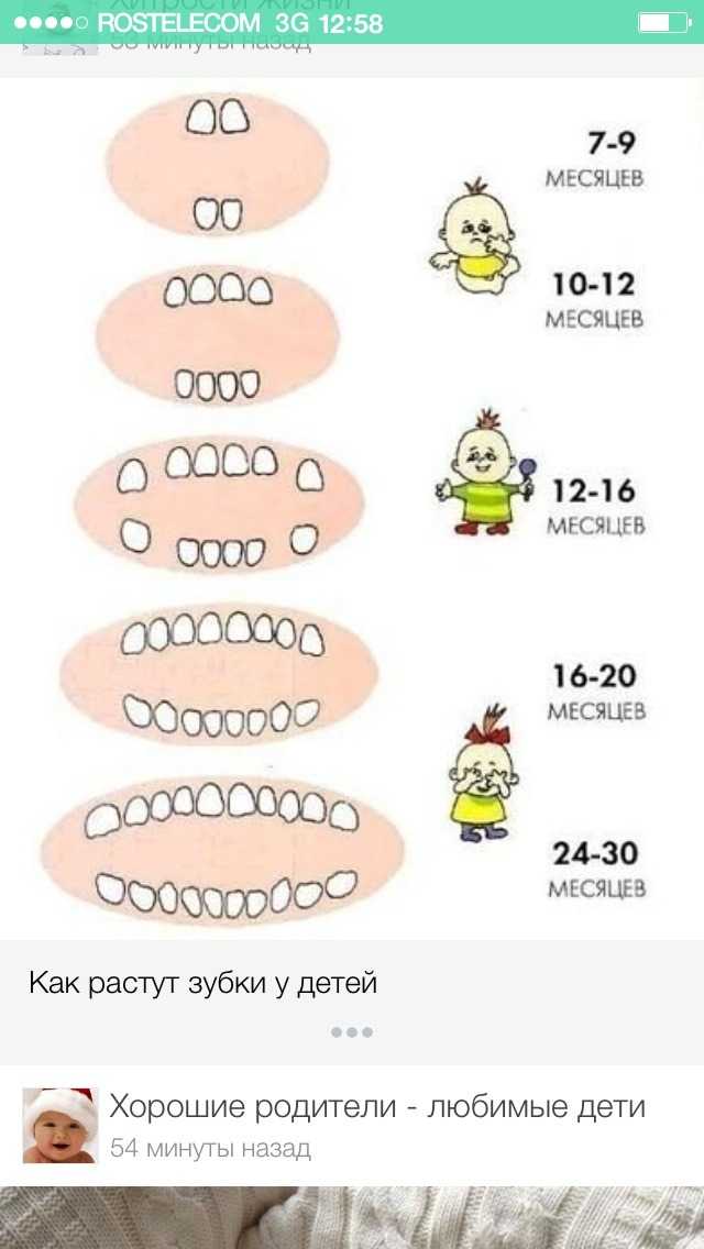 Сколько зубов у детей в 3 года