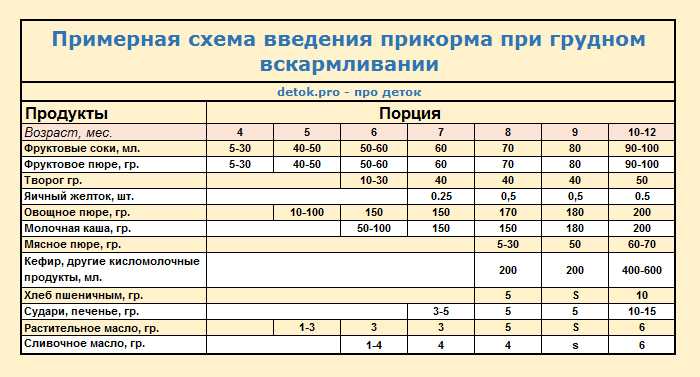 Прикорм по комаровскому таблица. Первый прикорм при грудном вскармливании с 6 месяцев. Прикорм таблица по месяцам на грудном вскармливании с 6 месяцев. Схема первого прикорма при грудном вскармливании с 5 месяцев. Введение прикорма при грудном вскармливании с 6 месяцев таблица.