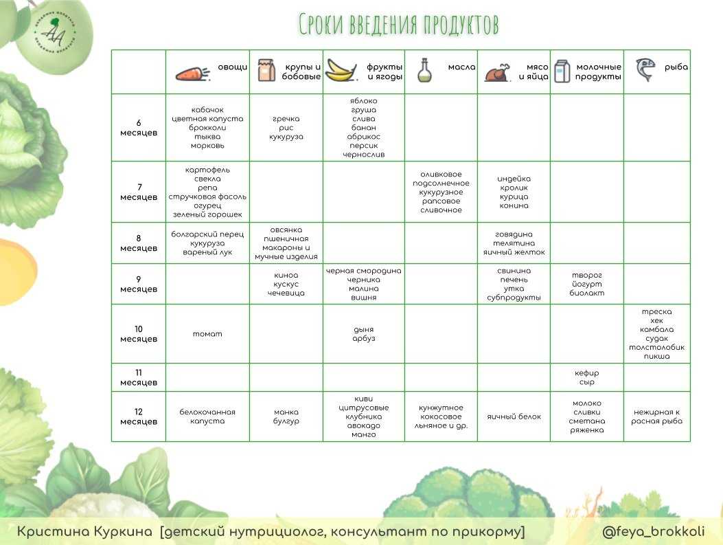 Овощи детям до года. Схема овощного прикорма. Овощи и фрукты по месяцам прикорм. Таблица ввода овощей по месяцам. Таблица ввода овощей в прикорм по месяцам.