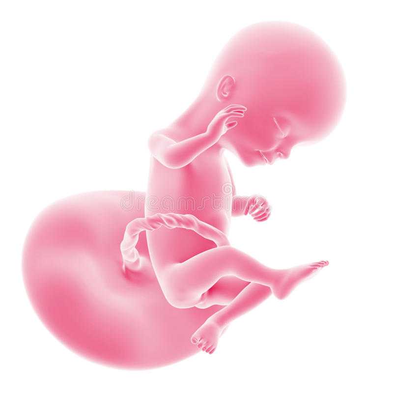 Не чувствуются шевеления плода на 17, 18, 19 и 20 неделях беременности: причины и что делать, отзывы