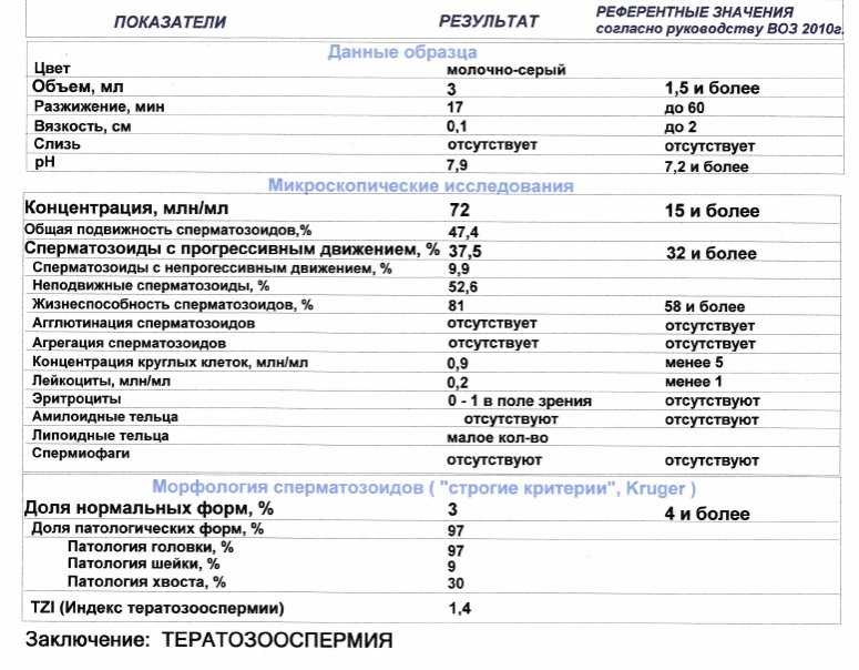 Образец спермограммы нормальный анализ