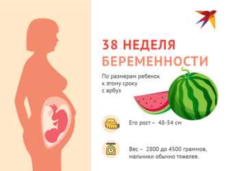 Нектарины при беременности: польза и вред, можно ли есть в 1, 2, 3 триместре