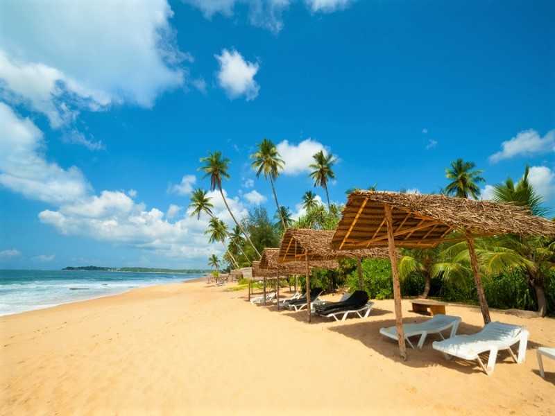 11 курортов и пляжей шри-ланки, где лучше отдыхать