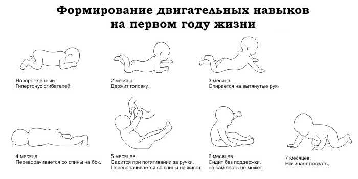 В 2 месяца ребенок не держит голову: должен ли держать ее лежа на животе, почему плохо, держит
