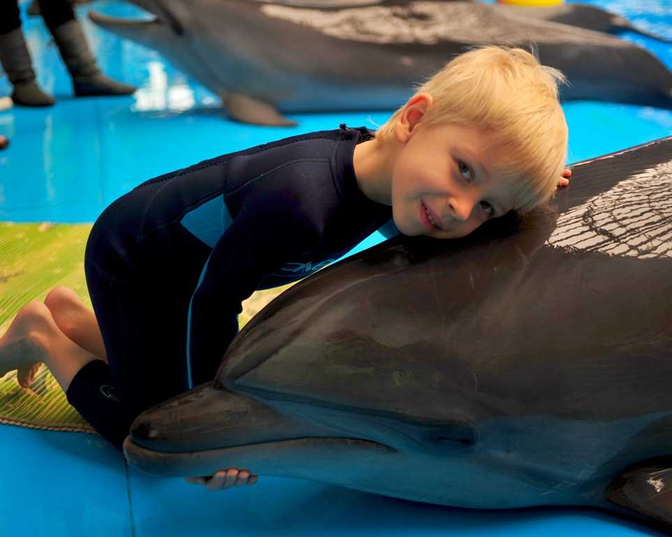 Дельфинотерапия: лечение детей с зпр, аутизмом, дцп