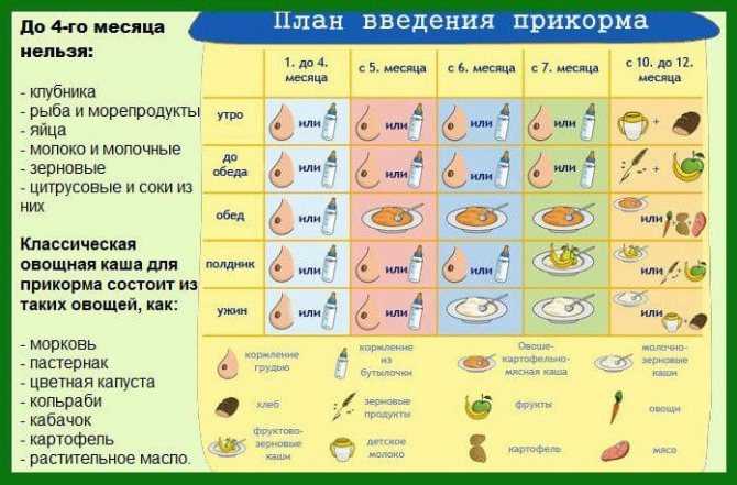 Творог в прикорме | уроки для мам