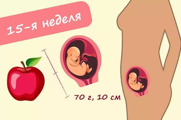 10 неделя беременности: что происходит с плодом и будущей мамой?