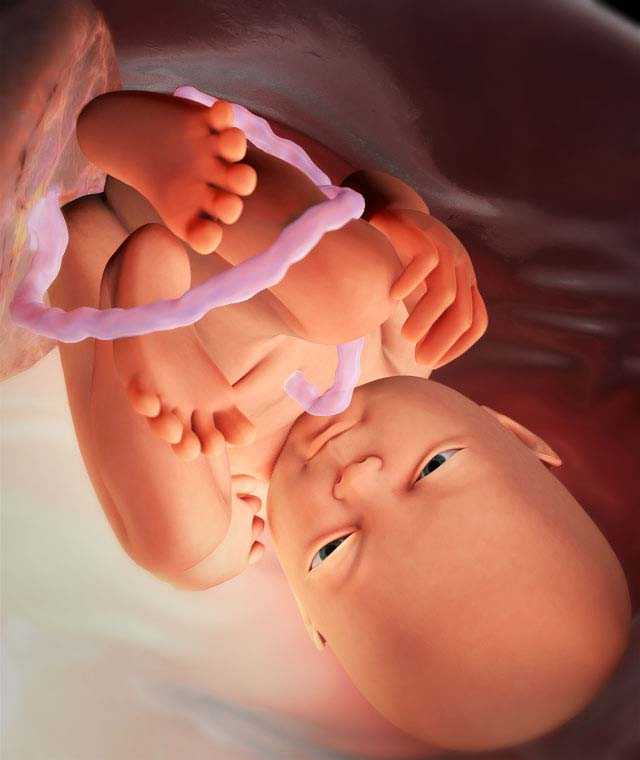 Предвестники родов на 36-37 неделях беременности у первородящих и повторнорожающих: характерные признаки