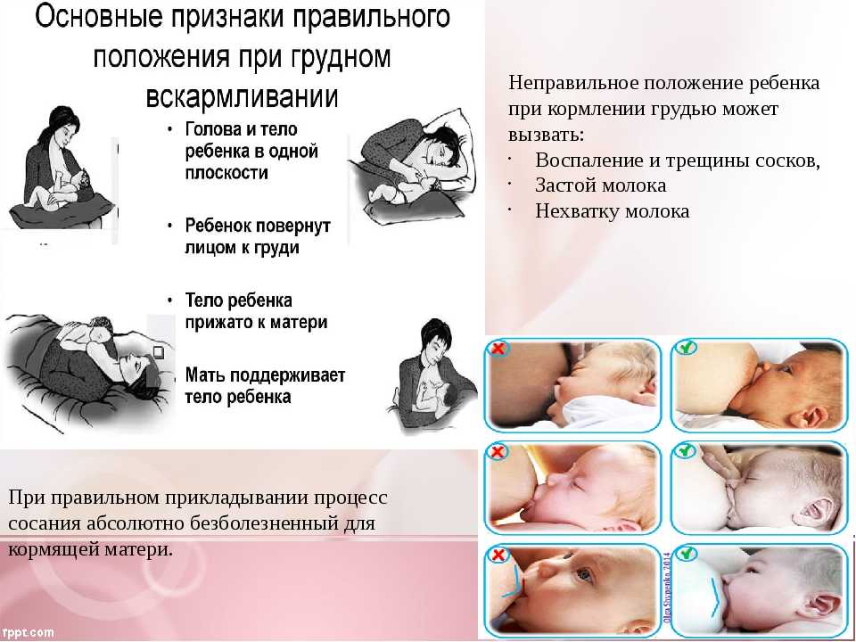 Как подготовить грудь к кормлению? | уроки для мам