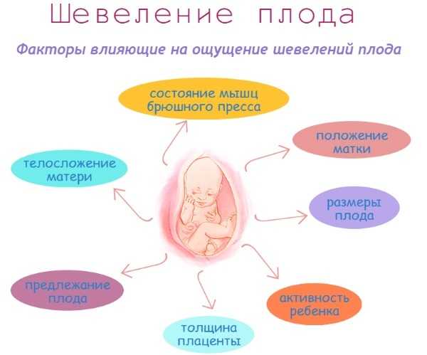 Шевеление плода при беременности: когда начинается, ощущения, отклонения