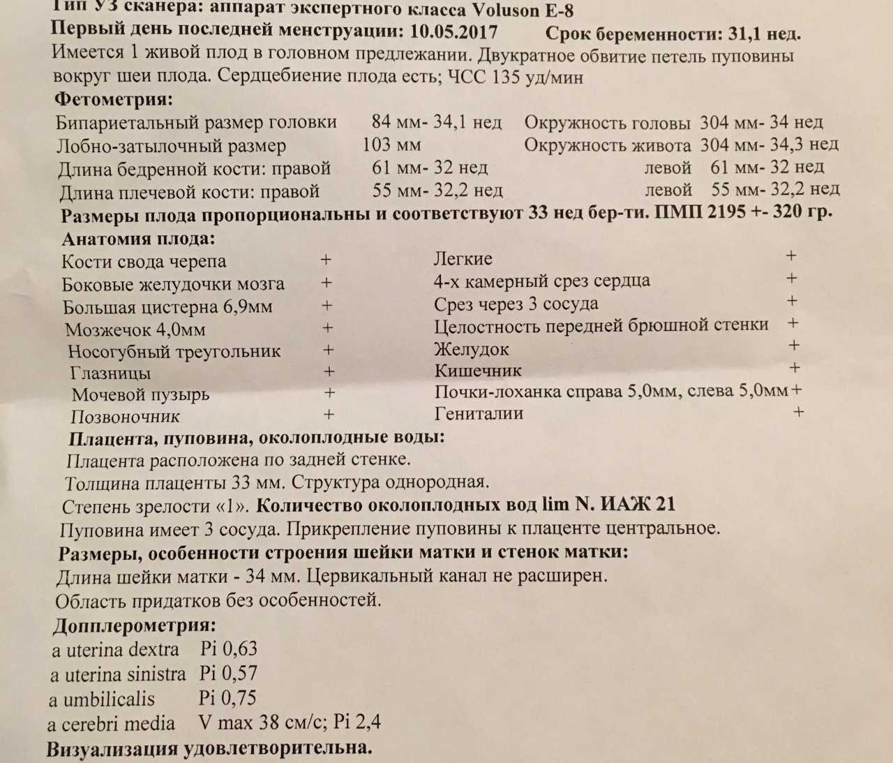 Расшифровка узи при беременности: таблица с результатами, норма и отклонения / mama66.ru