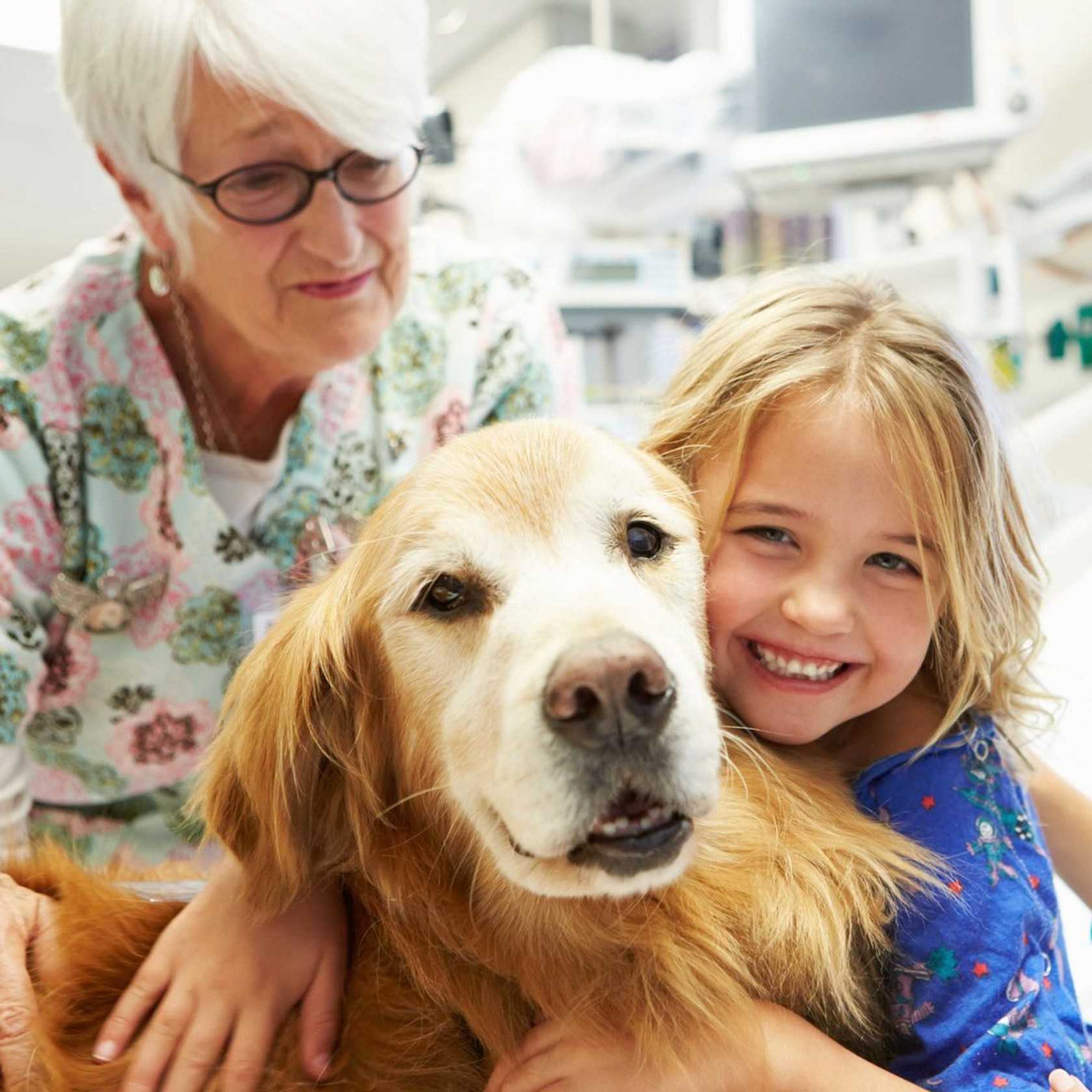 Medweb - анималотерапия: общение с животными как лекарство