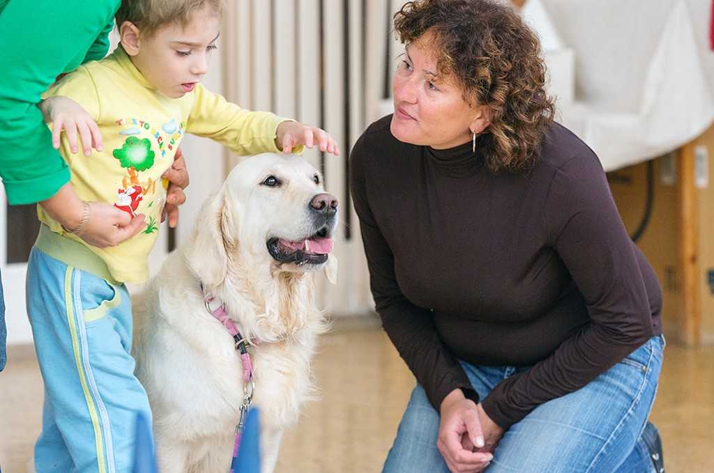 Как записать "особенного" ребенка на бесплатный прием к собаке-терапевту — российская газета