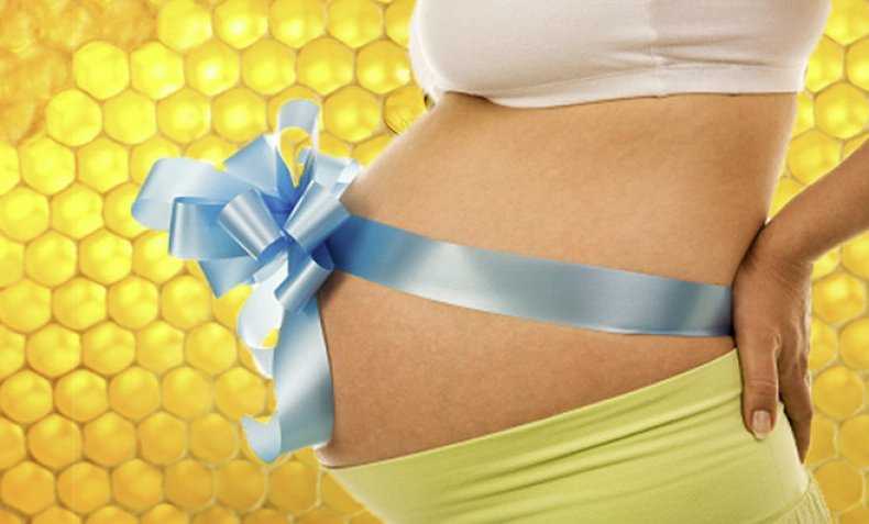 Прополис при беременности: можно или нет