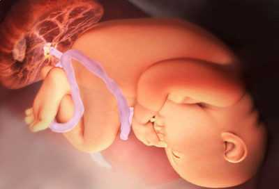 39 неделя беременности (48 фото): предвестники родов у повторнородящих и первородящих, что происходит с малышом и мамой, особенности при второй беременности, секс, тошнота, понос и изжога, отеки ног и запоры, тянет поясницу на 39 акушерской неделе