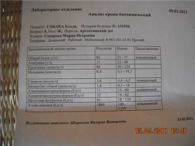 Анализ крови на глисты: как по анализу крови определить наличие глистов