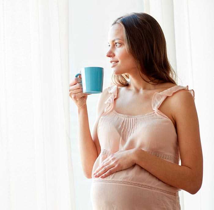 Можно ли иван чай беременным: на ранних сроках, польза и вред, противопоказания