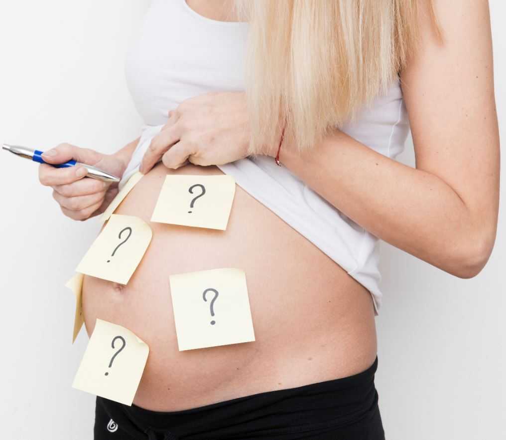 Этапы беременности от зачатия до родов