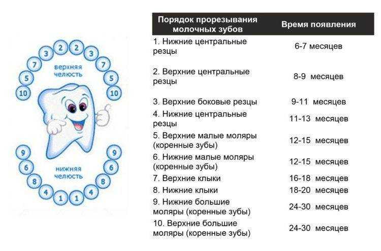 Температура при прорезывании зубов у детей.