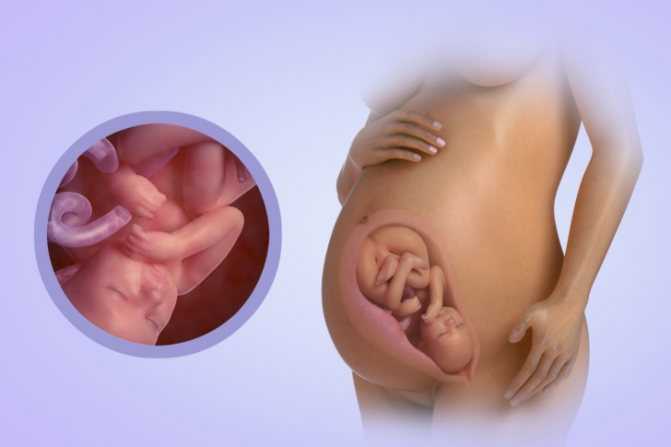 37 неделя беременности - что происходит с малышом и мамой