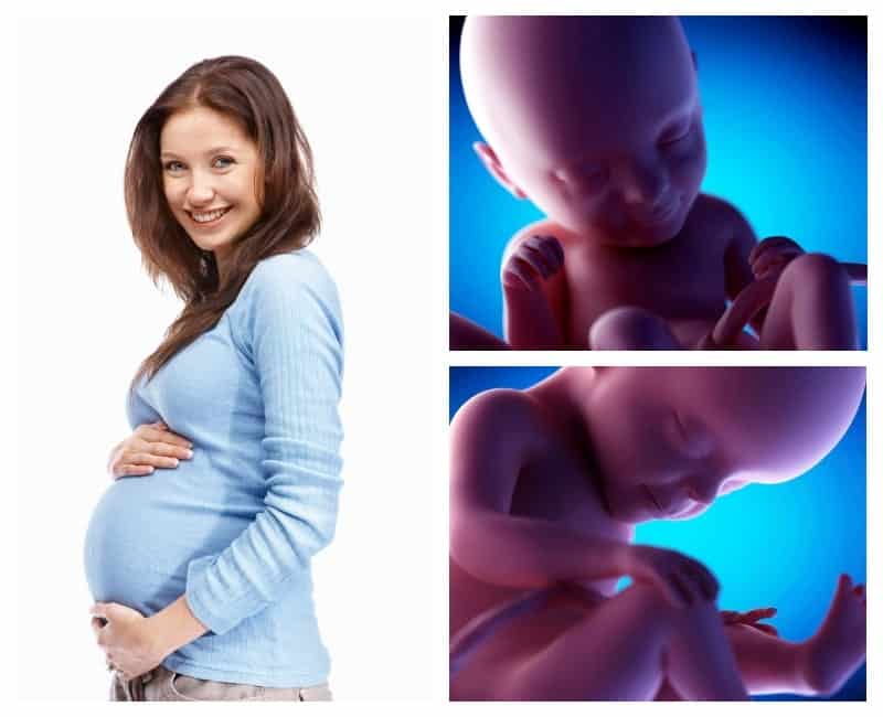 28 неделя беременности: что происходит с малышом и будущей мамой, анализы, фото и узи