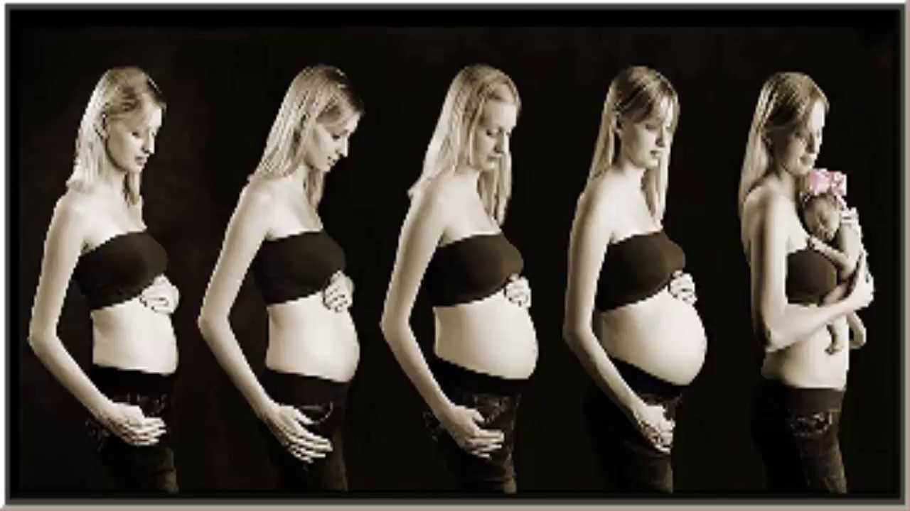 Зачатие ребенка: процесс оплодотворения и имплантации по дням