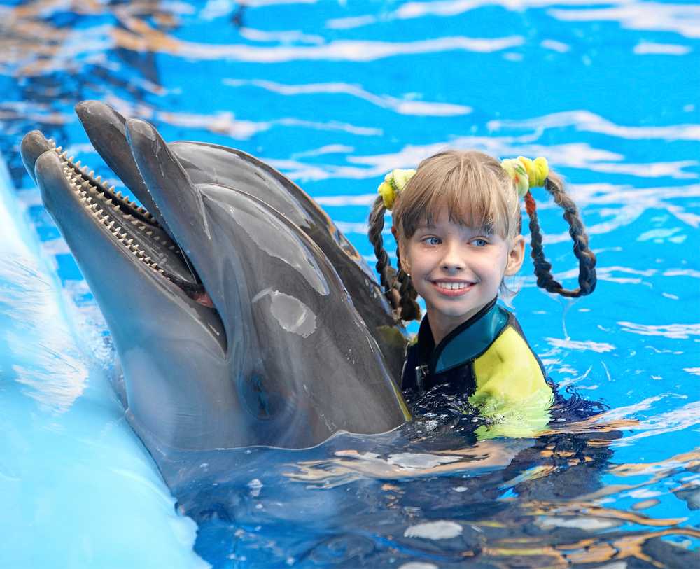 Дельфинотерапия для детей - инвалидов.