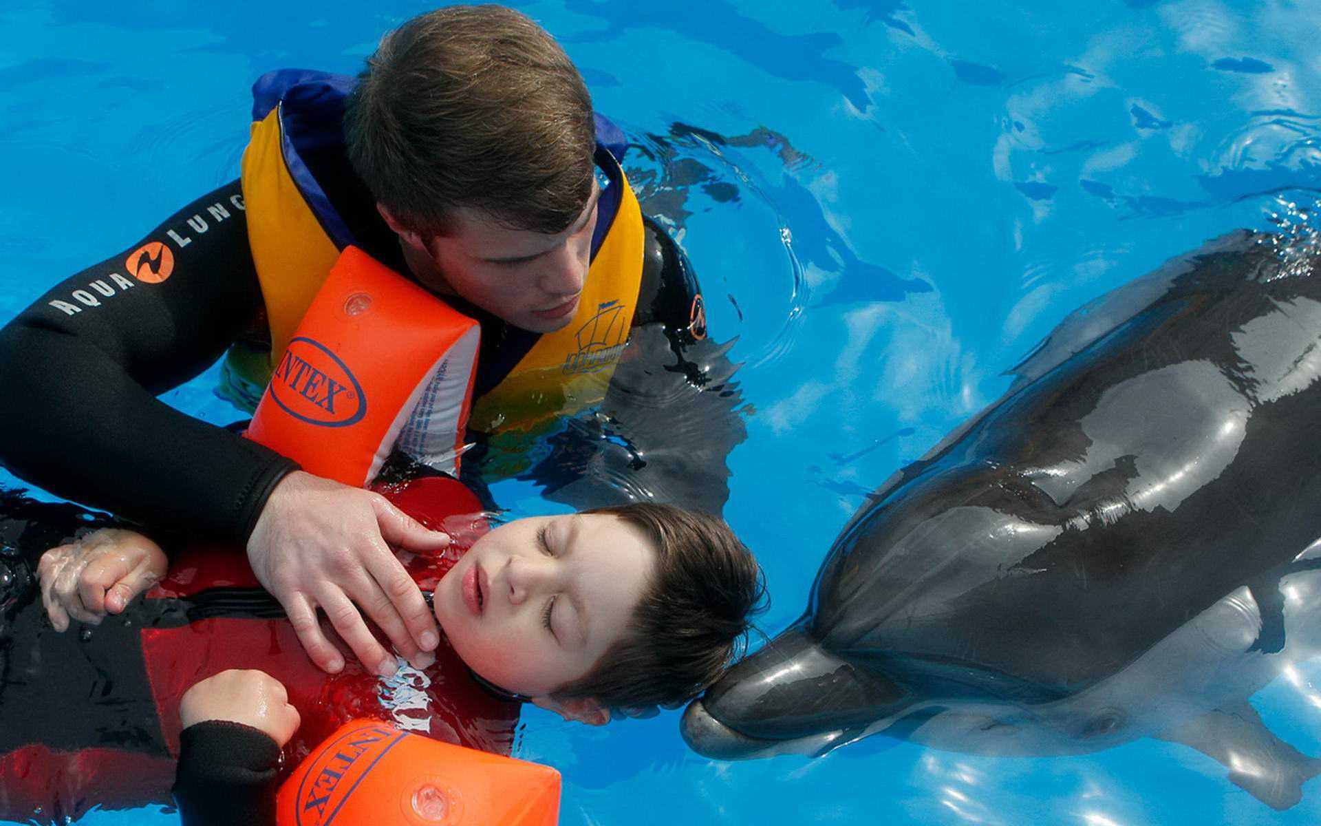 Дельфинотерапия: что это, кому показана, преимущества терапии для детей, как проходят сеансы.