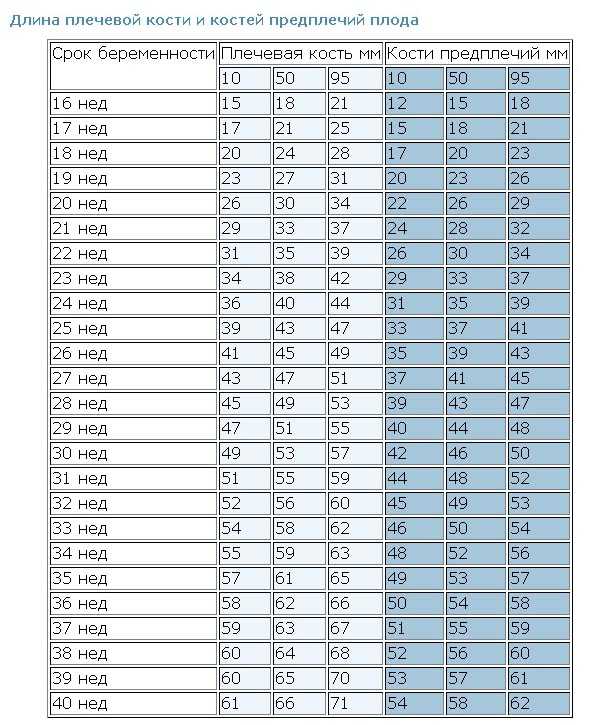 Размер плода по неделям беременности - таблица нормальных размеров по узи |
            эко-блог