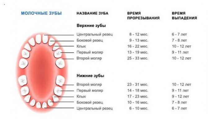 Какая температура при прорезывании зубов у детей? | компетентно о здоровье на ilive