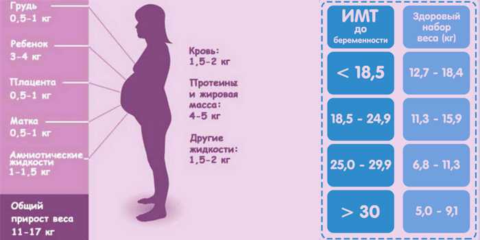 От чего зависит набор веса при беременности, и как узнать нормы прибавки массы по неделям?