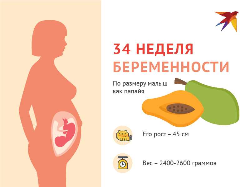 34 неделя беременности: что происходит с малышом и мамой?