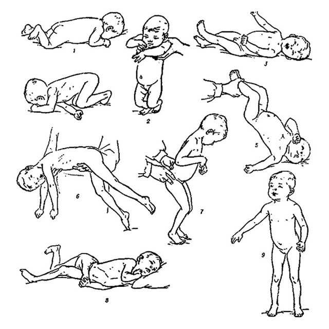 Гимнастика для 6 месячного ребенка: упражнения и массаж для малыша