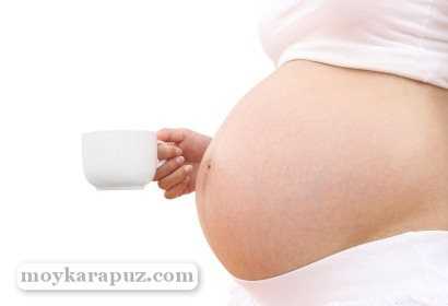 Иван-чай при беременности: можно пить напитки из растения на ранних и поздних сроках или нет?