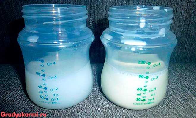 Коровье молоко: химический состав и полезные свойства