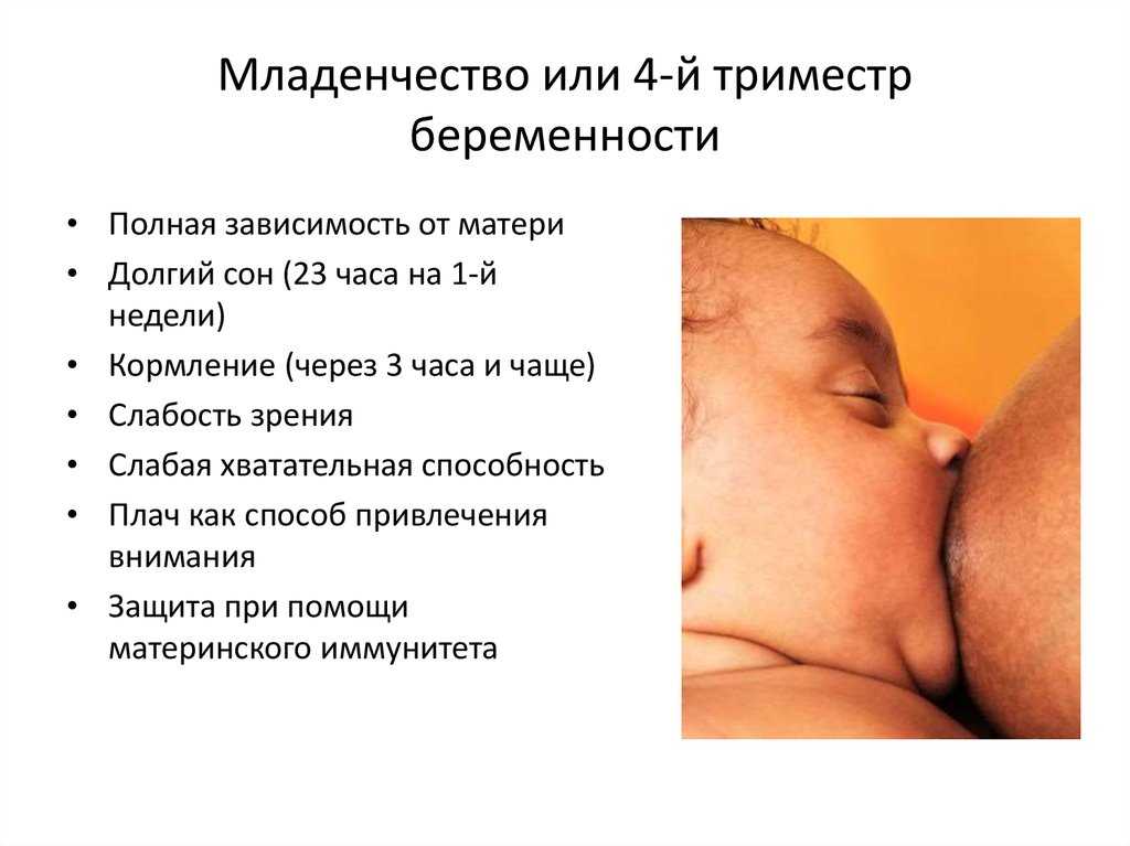 Триместры беременности по неделям и месяцам. таблица, фото живота и развития плода