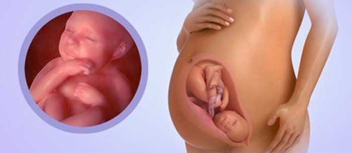 38 неделя беременности: что происходит с малышом и мамой в этот период, какие выделения допустимы?