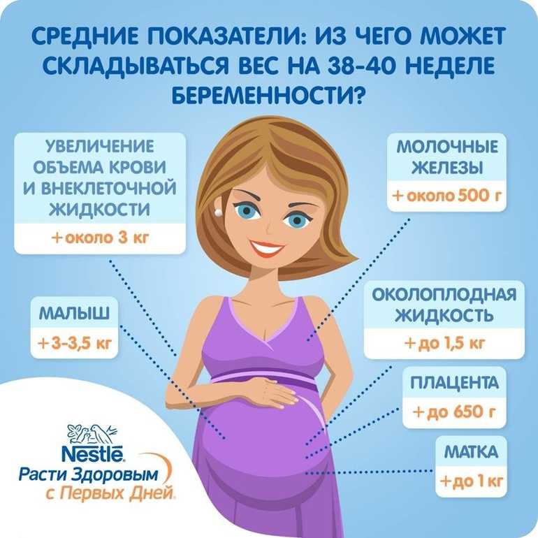 Норма веса при беременности по неделям