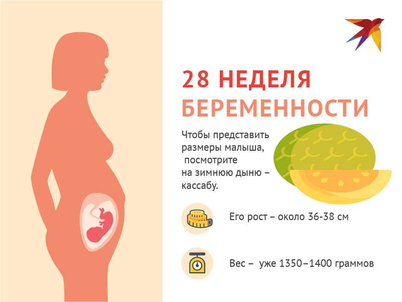 30 неделя беременности: что происходит с малышом и мамой, фото, развитие плода