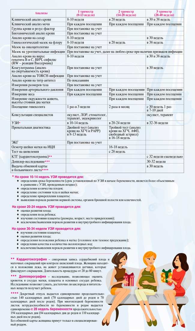 Анализы при беременности: список по срокам, при постановке на учет, расшифровка