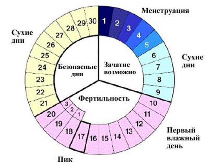 Коэффициент фертильности: как рассчитывается показатель, особенности в россии и других стран мира