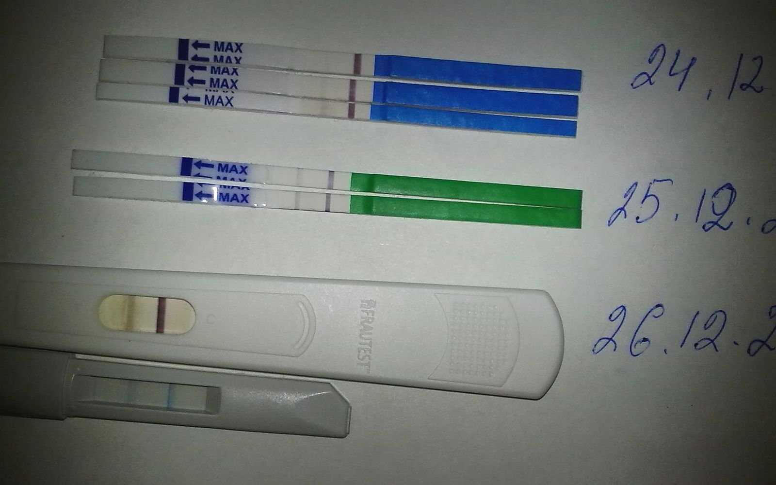 Покажет ли тест положительный при внематочной. Тест на беременность на 2 недели беременности. Тест показал 2-3 недели беременности. Беремнность 1 неделя на Тесье. Тест на первой неделе беременности.