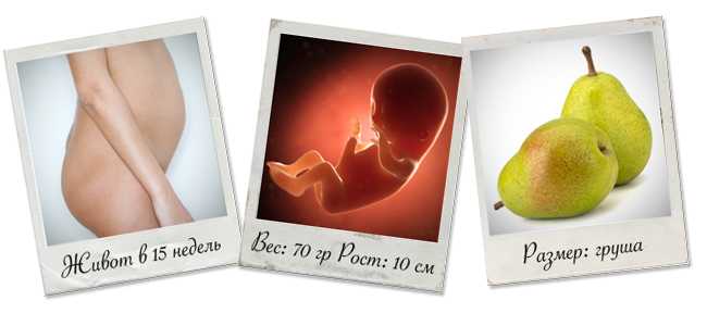 5 неделя беременности: признаки и ощущения женщины, симптомы, развитие плода