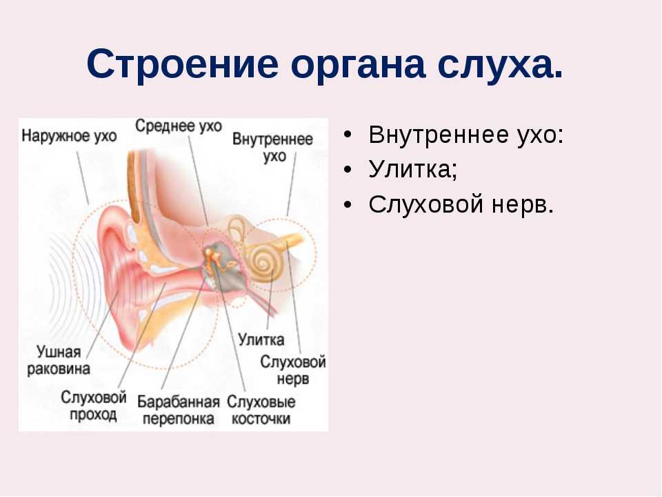 Как проверить фонематический слух у ребенка? | контент-платформа pandia.ru