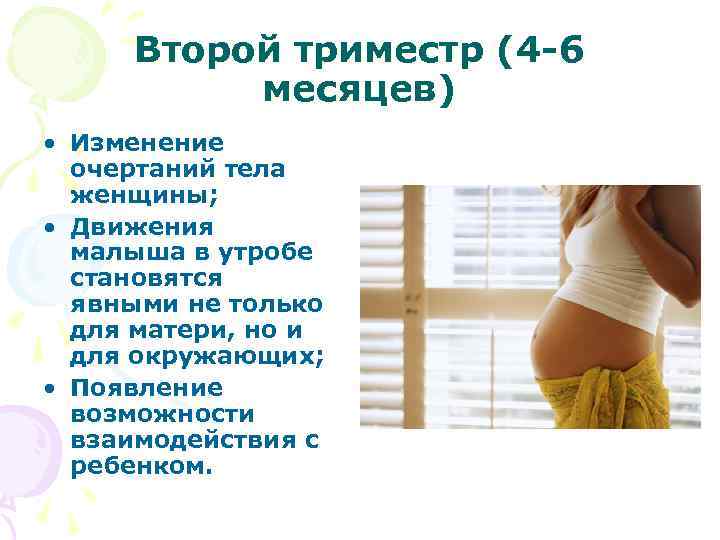 Развитие ребенка по триместрам беременности