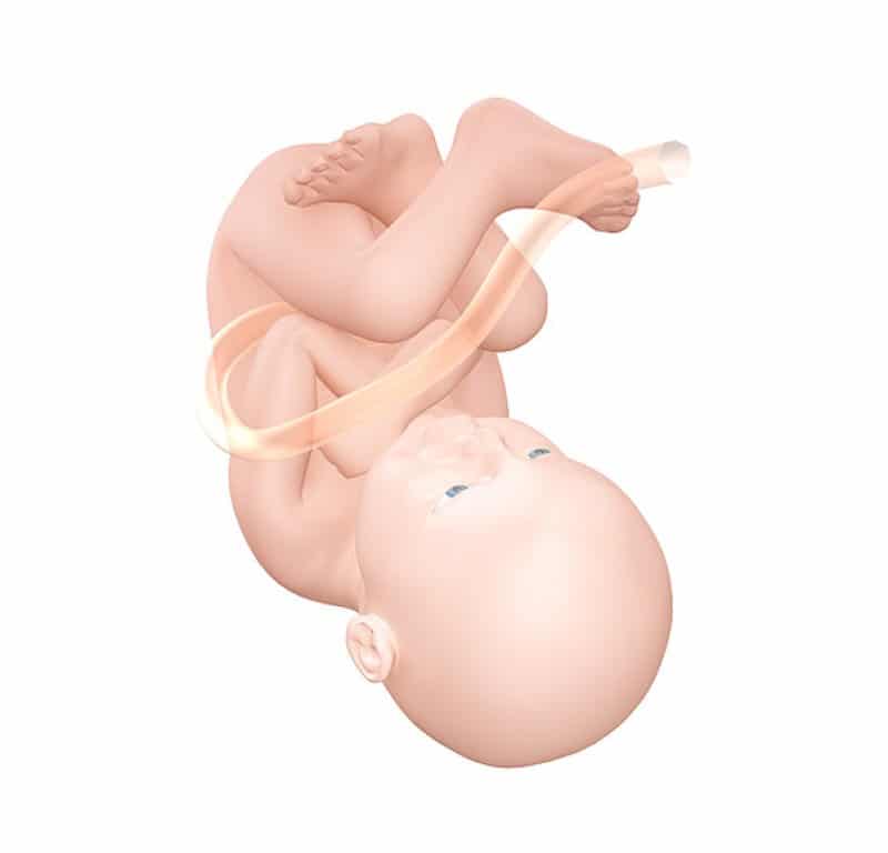 41 неделя беременности — описание, роды, родов нет, нет предвестников, выделения, отошла пробка