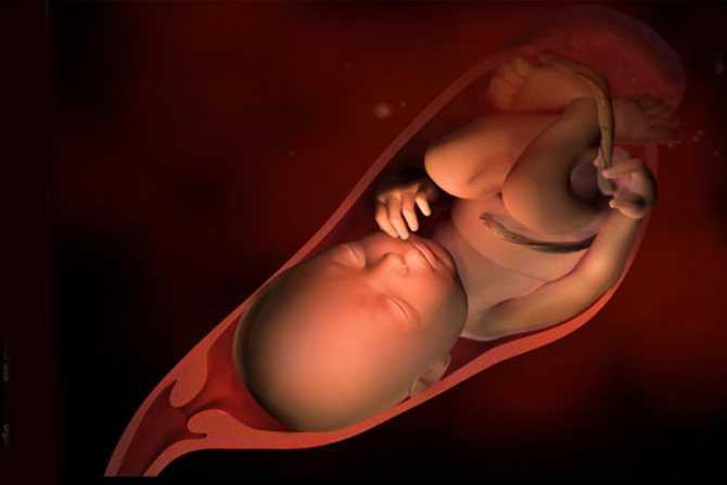 39 неделя беременности: предвестники родов, как ускорить роды
