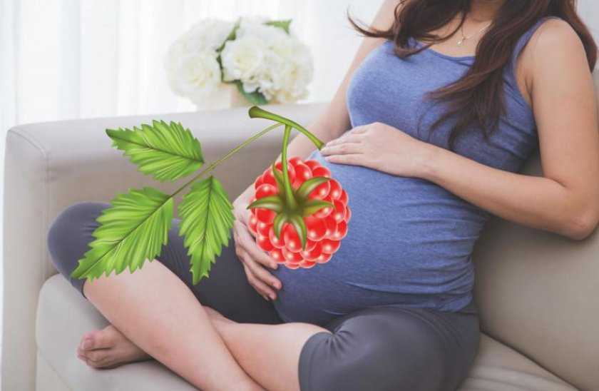 Чай с малиной при беременности: можно ли пить